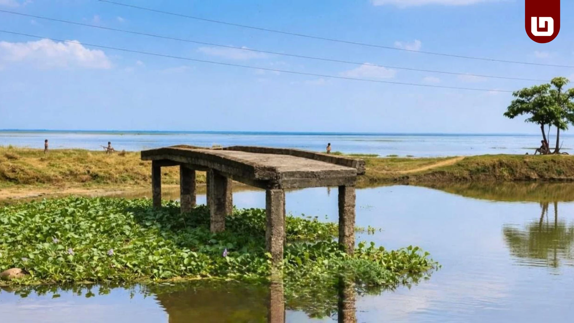 সেতুটি ৮টি পিলার নিয়ে দাঁড়িয়ে; নেই কোন রাস্তা!