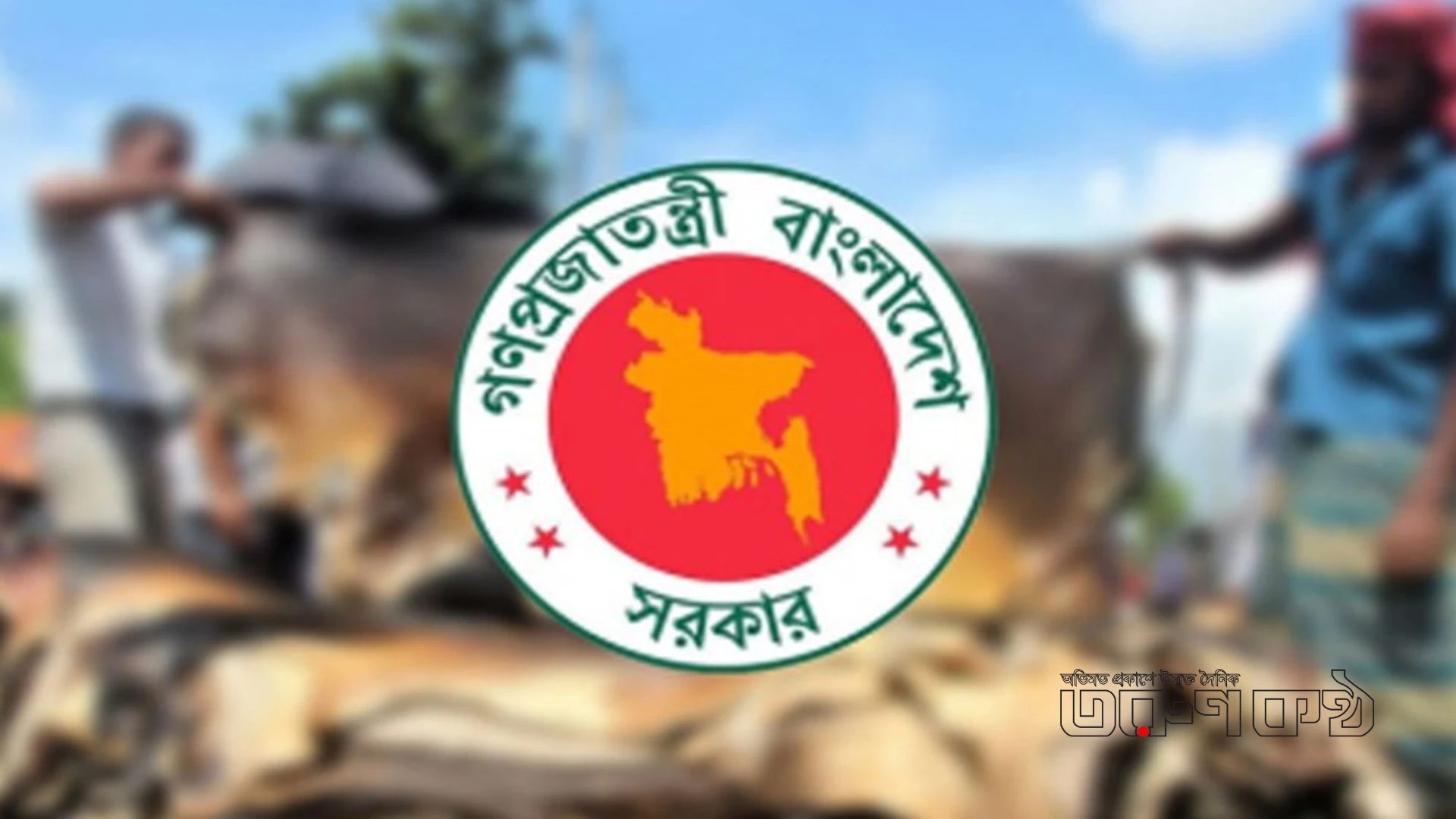 ঈদুল আজহায় কোরবানির চামড়া রক্ষায় সরকারের বিশেষ ব্যবস্থা