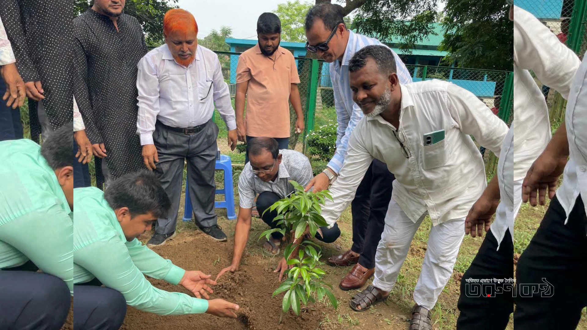 জুবাইদা রহমানের জন্মবার্ষিকীতে এমপি কামরুলের বৃক্ষরোপণ