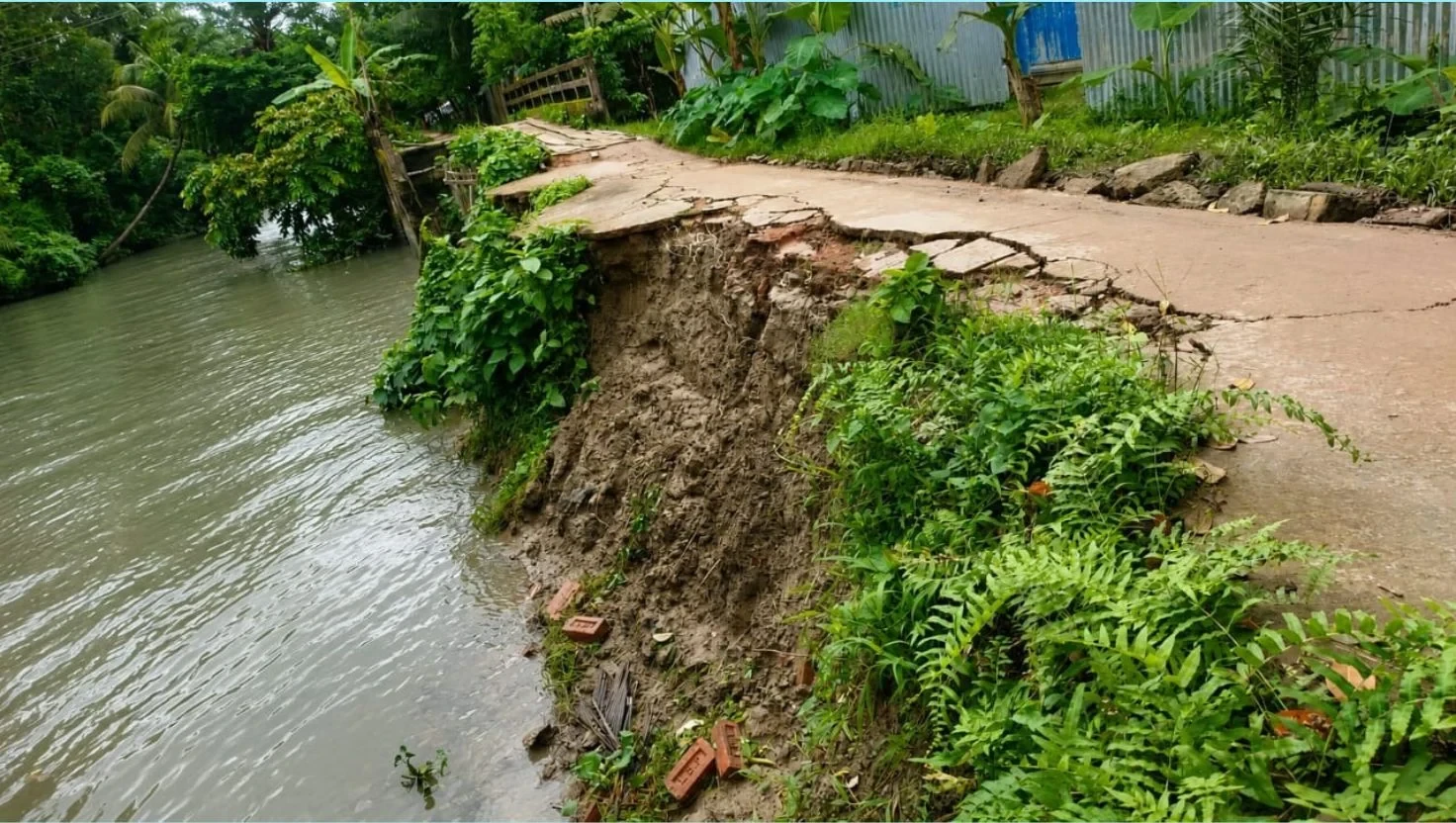 নেছারাবাদে ভাঙনে বিলীন রাজাবাড়ি-জিলবাড়ি সড়ক