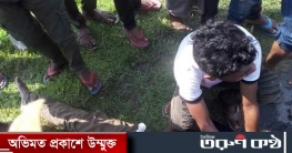 শান্তিগঞ্জে পিকআপভ্যানের চাপায় যুবকের মৃত্যু