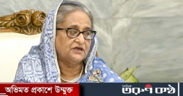 সচিব সভায় যেসব নির্দেশনা দিলেন প্রধানমন্ত্রী