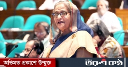 বিএনপি-জামায়াতের সহিংসতায় ৬০০ যানবাহন ভাঙচুর, ১৩ জন নিহত