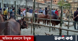 কোরবানির পশুর হাটে হাসিল নেওয়া বন্ধ চেয়ে রিট