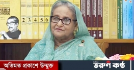 সেবা দিয়ে যাচ্ছি, কে কোন দল করে বিবেচনা করি না: প্রধানমন্ত্রী