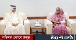 গাজায় শান্তি প্রতিষ্ঠায় ওআইসির দেশগুলোকে এক হওয়া উচিত