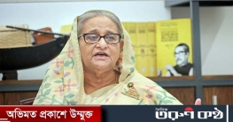 মানুষ পুড়িয়ে নির্বাচন বন্ধ করা যাবে না : প্রধানমন্ত্রী