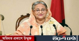 তৃণমূল নেতা ও স্বতন্ত্র এমপিদের সঙ্গে বৈঠকে শেখ হাসিনা