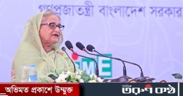 ‘সামান্য কেমিক্যালের পয়সা বাঁচাতে দেশের সর্বনাশ করবেন না’