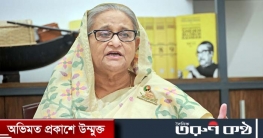 কোটাবিরোধী আন্দোলনের কোনো যৌক্তিকতা নেই : প্রধানমন্ত্রী