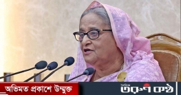 সত্য না লিখলে পত্রিকা ডাস্টবিনে ফেলে দিন: শেখ হাসিনা