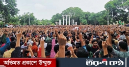 সরকার পদত্যাগের এক দফা