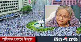 হেফাজত সমাবেশে গুলি : শেখ হাসিনাসহ ৩৪ জনকে আসামি করে মামলা