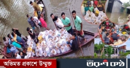 লাকসাম মনোহরগঞ্জের বন্যার্তদের পাশে নবযাত্রা বাংলাদেশ