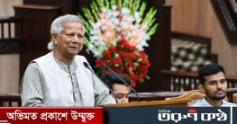 এই সুযোগ হাতছাড়া হলে বাংলাদেশ আর রাষ্ট্র থাকবে না: ড. ইউনূস