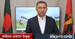 ষড়যন্ত্রকারীরা সরকারকে বেকায়দায় ফেলতে অপতৎপরতায় লিপ্ত: তারেক