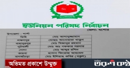 শার্শা উপজেলার ইউনিয়ন পরিষদ নির্বাচনে আওয়ামী লীগের মনোনয়ন পেলেন 