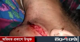 কুমিল্লার লাকসামে ভাসুর পিটিয়েছে ছোট ভাইয়ের বউকে 