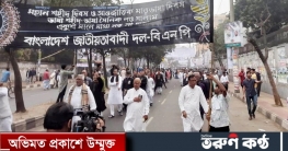 ভাষাশহীদদের কবরে বিএনপির শ্রদ্ধা