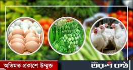ডিম-মুরগির সঙ্গে বেড়েছে সবজির দাম