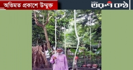 খুলনায় ৭ হাত লম্বা চিচিঙ্গা!