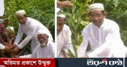 গাজীপুর ইউনিয়নে বৃক্ষ রোপণ করেছেন শেখ মোঃ আমিনুল ইসলাম