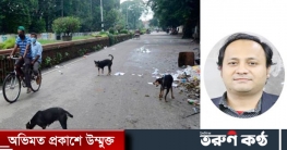 কুকুর স্থানান্তরে বিরোধীরা গাড়িতে চলে,সাধারণ মানুষের কষ্ট বোঝে না