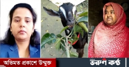 সেই ছাগল ফেরত পেলেন মালিক, জরিমানা দিলেন ইউএনও নিজে