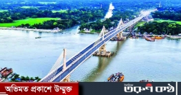 চলতি মাসেই পায়রা সেতু উদ্বোধন