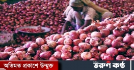 পেঁয়াজের দাম বেড়েছে কেজিপ্রতি ২০ থেকে ৩০ টাকা