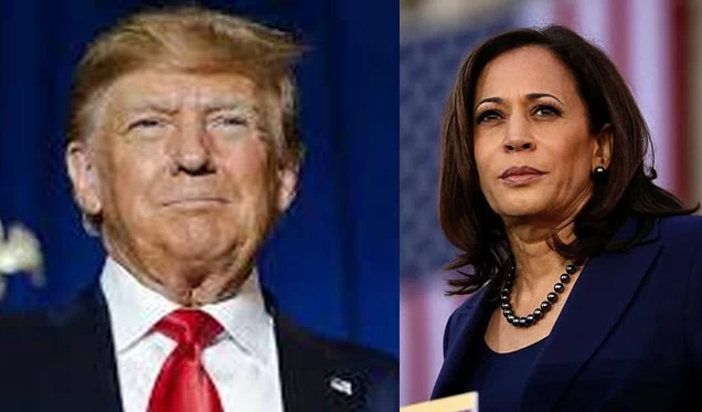 কমলা কি কালো নাকি ভারতীয়: ট্রাম্প