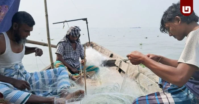 ইলিশ উৎপাদন বাড়াতে চাঁদপুরে পদ্মা-মেঘনায় দুই মাস মাছ ধরা নিষিদ্ধ
