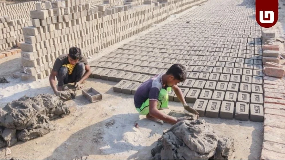 লাকসামে অবৈধ ইটভাটার প্রভাবে ধ্বংস হচ্ছে কৃষিজমি